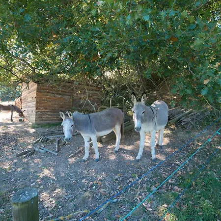 Jasmin Dom wakacyjny Plavilla