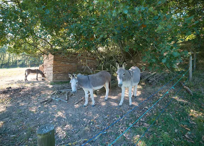 Jasmin 別荘 Plavilla